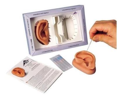 Acupunctuur trainings - oefen-oren 9,5 cm x 6 cm x 4 cm à 2 stuks