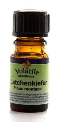 Volatile Latchenkiefer - Pinus Montana strong 10 ml
