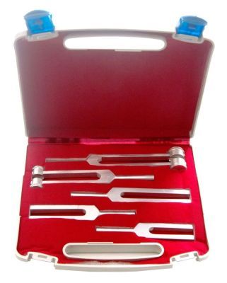 Saehan stemvork set in koffer Deluxe à 5 stuks