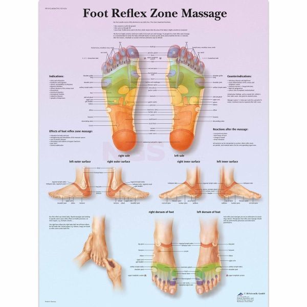 Anatomie poster voetreflexzone massage